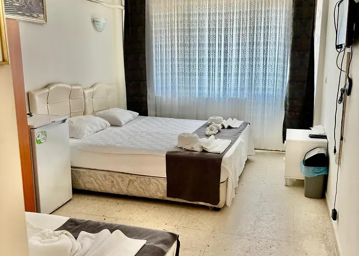 The Sun Dıdim Didim